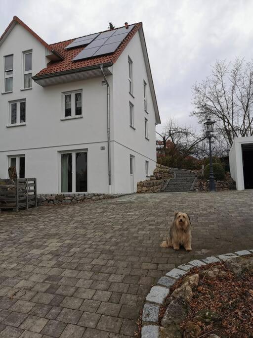 RAuszeit Apartment Nittendorf Екстериор снимка